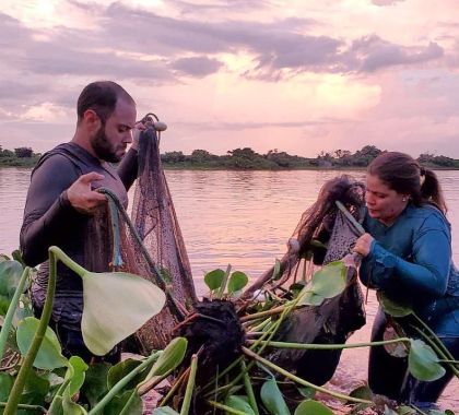 Pesquisadores catalogam 104 novas espécies e ampliam inventário de peixes do Pantanal