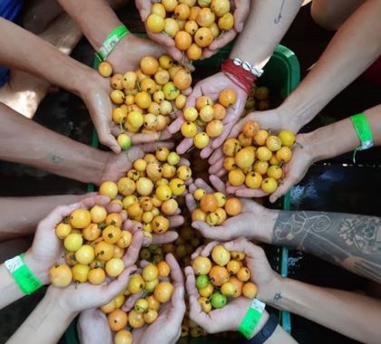 17º Festival da Guavira acontece na próxima semana em Bonito