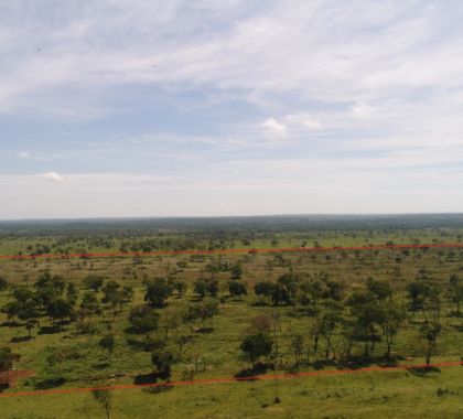 Fazendeiro é multado em R$ 25 mil por desmatamento ilegal de 83 hectares em Bonito