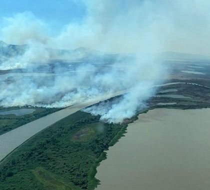 Governo institui Política Estadual para prevenir incêndios florestais