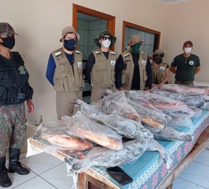 Pescadora profissional de Bonito tem 187 kg de pescado sem origem apreendidos