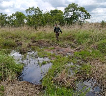 Pecuarista é multado em R$ 20 mil por desmatamento em áreas de nascentes em Maracaju