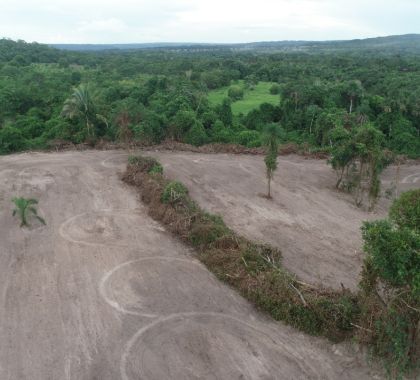 Fazendeira do Paraná é multado em R$ 12 mil por desmatamento ilegal no MS