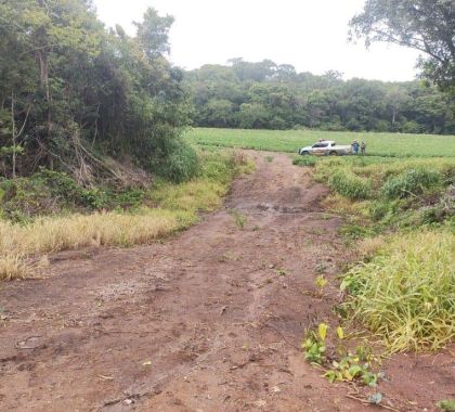 PMA de Bonito multa pecuarista em R$ 3 mil por desmatamento ilegal