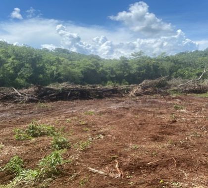 PMA de Dourados multa fazendeiro em R$ 94 mil por desmatamento ilegal