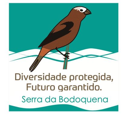 Artes ressaltam a importância da preservação dos banhados na região da Serra da Bodoquena