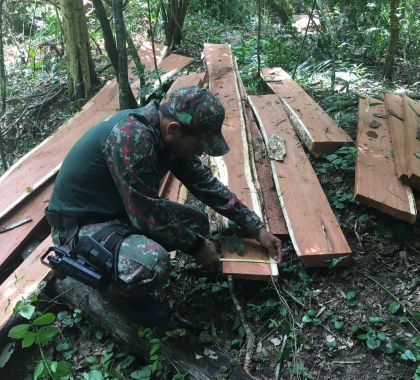 Fazendeira é multada por exploração da madeira e incêndio em área protegida de mata ciliar do rio da Prata, em Bonito