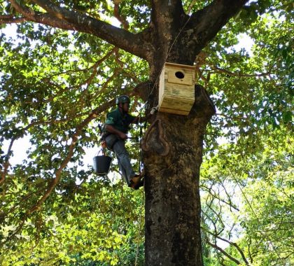 Instituto Arara Azul instala ninhos artificiais em atrativos de Jardim