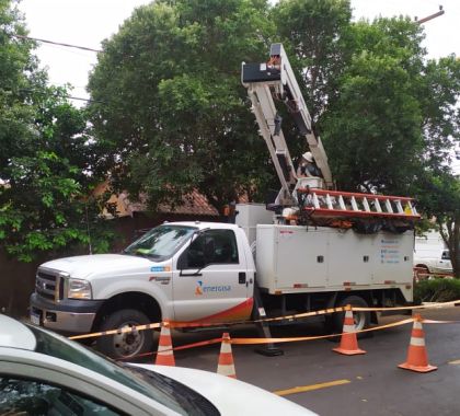 Energisa realiza planejamento e execução de podas em Bonito