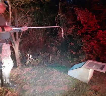 Cascavel é capturada em residência em Bonito