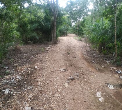 PMA descobre construção ilegal de trilhas em rancho turístico e autua empresário em Bonito