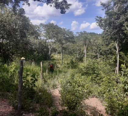 Pecuarista é multado em R$ 5 mil por desmatamento em área protegida de Bonito