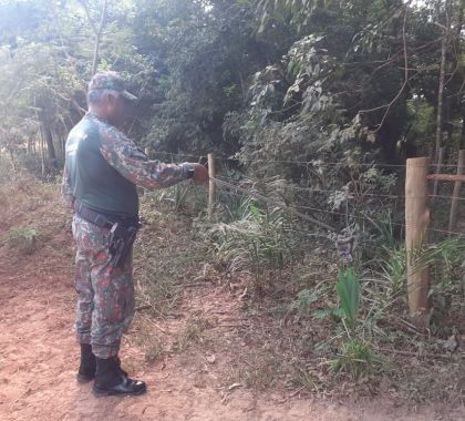 PMA de Bonito captura jiboia dentro de residência e a solta em seu habitat