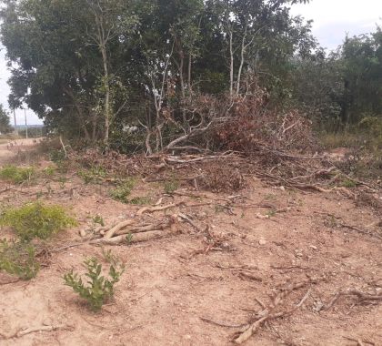 Dono de empresa de máquinas é multado por despejar resíduos de limpeza e danificar vegetação em Bonito