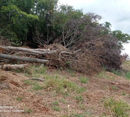 PMA de Bonito multa pecuarista em R$ 36 mil por crimes ambientais