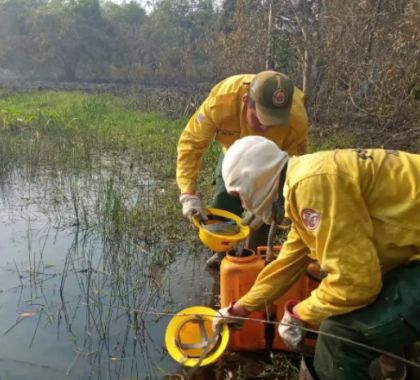 Estiagem leva governo a decretar emergência ambiental em Mato Grosso do Sul