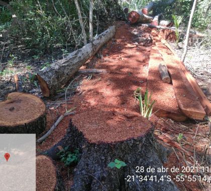 Assentada é multada em R$ 5 mil por exploração de madeira ilegal em Nioaque