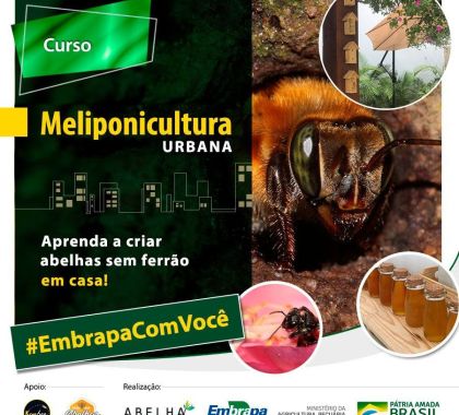 Curso on-line ensina a criar abelhas sem ferrão