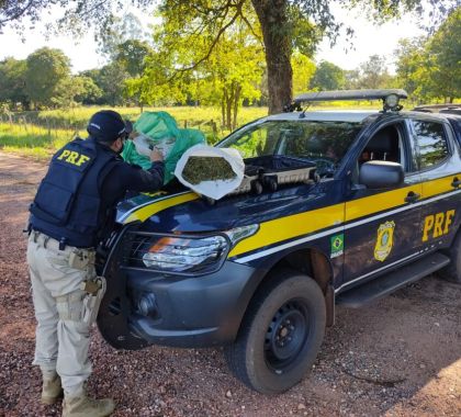 PRF apreende 10 kg de maconha em Jardim