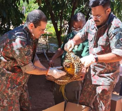 Mais de 20 animais silvestres são apreendidos em chácara de Cassilândia e dono é multado em R$ 64 mil