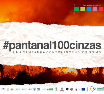 Campanha #pantanal100cinzas será lançada no dia 13 de maio