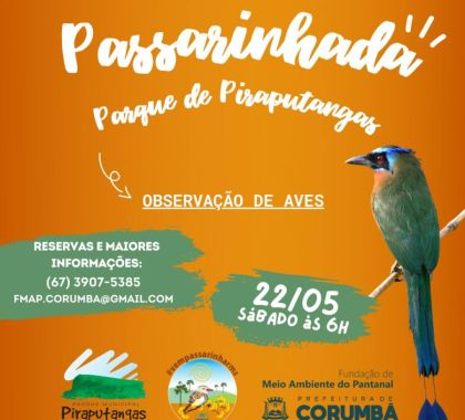 Parque Municipal de Piraputangas recebe observação de aves