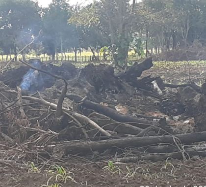 Homem é multado em R$ 7 mil por incêndio em vegetação nativa de Bonito