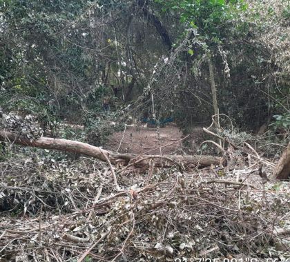 Dois infratores são multados em R$ 10 mil por derrubada de matas ciliares do córrego Restinga em Bonito