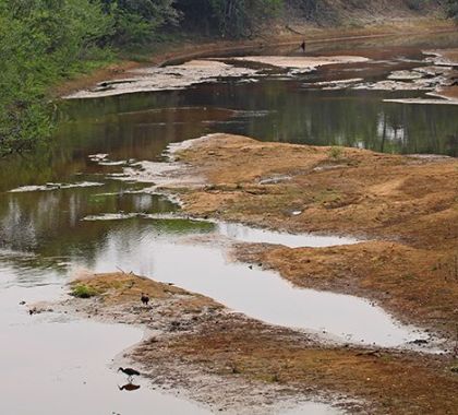 Baixa estação chuvosa afeta 80% das propriedades no Pantanal