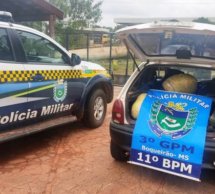 Durante 'Operação Hórus', 243 kg de maconha são apreendidos no distrito de Boqueirão, em Jardim