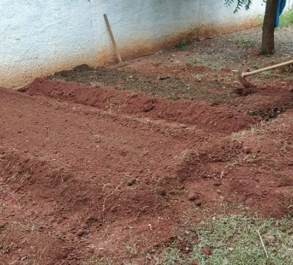 Presídio de Jardim contribui no cultivo de horta em creche para incentivar mudança de hábitos