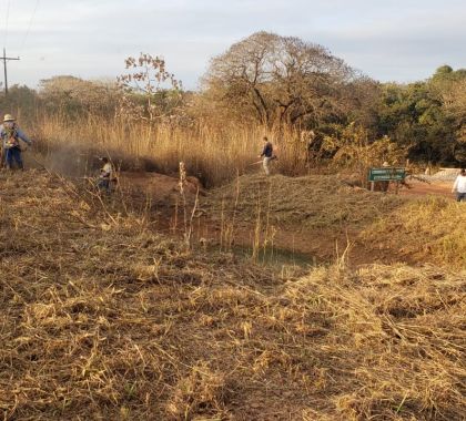 Serviços de limpeza em terrenos estão sendo realizados em Bonito