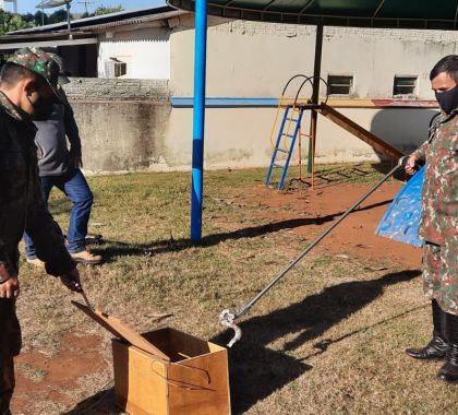 Jiboia é capturada em escola de Bonito