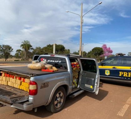 Mais de uma tonelada de maconha é apreendida em Guia Lopes da Laguna