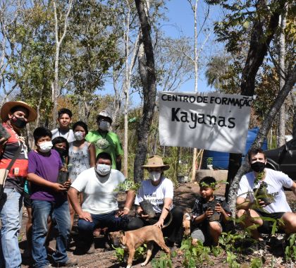 Organização Caianas recebe mudas para revitalização de nascentes em Miranda