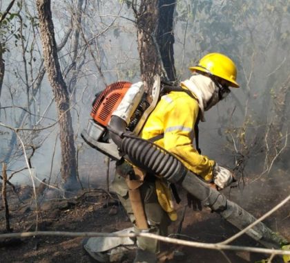 Fogo atinge 2 mil hectares da Serra da Bodoquena nesta segunda