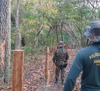 Exploração ilegal de madeira é descoberta durante medição da área queimada na Serra da Bodoquena e infrator é multado em R$ 553 mil