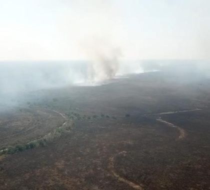 Fazendeiro é multado em R$ 1,17 milhão por incêndio no Pantanal