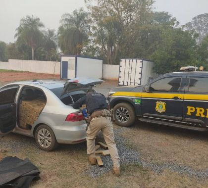 PRF apreende 773 kg de maconha em Guia Lopes da Laguna