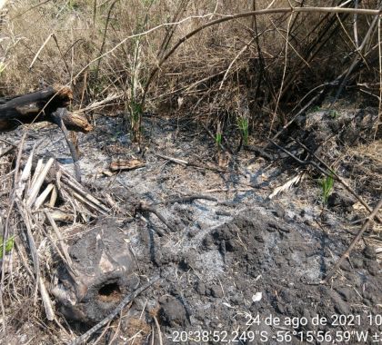 Fazendeiro é multado em R$ 1 mil por incêndio no Distrito de Águas do Miranda em Bonito