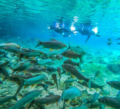 Belezas naturais, turismo seguro e ações promocionais despertam o interesse de viajantes por Bonito e região; revela presidente do IDB