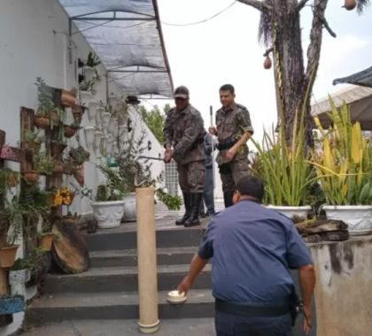 Moradora de Bonito encontra filhote de jiboia dormindo em vaso de plantas