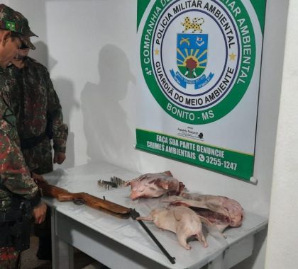 Caçador é multado em R$ 1,5 mil com arma, munições, duas cutias e um cateto abatidos em Bonito