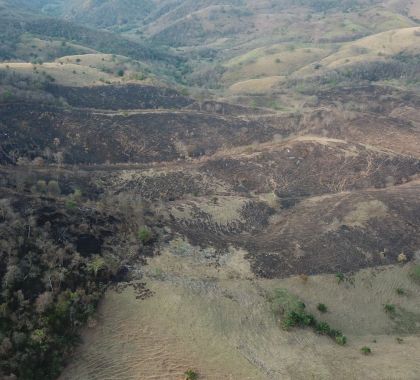 Assentado é multado em R$ 60 mil por incêndio no Pantanal