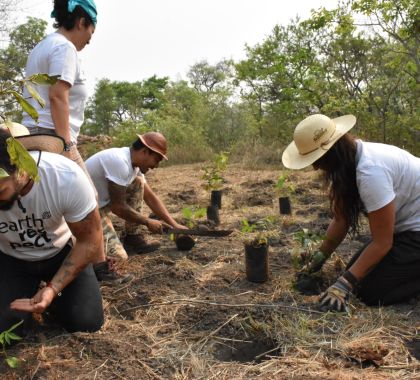 Jovens plantam mil mudas para recuperação de mata ciliar do Rio Formosinho, em Bonito