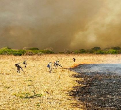 Combate aos incêndios no Pantanal mobiliza 510 homens e seis aeronaves