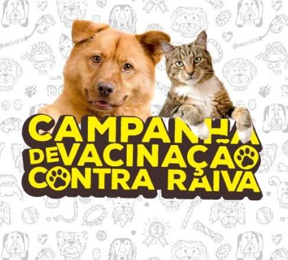 Campanha de vacinação antirrábica de cães e gatos será realizada neste sábado em Bonito