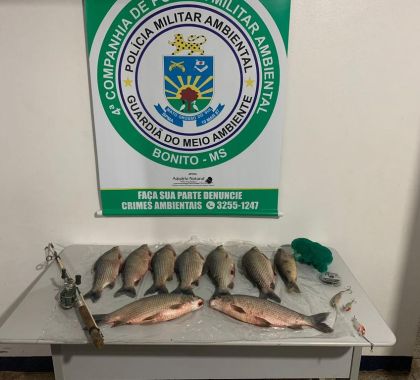 Pescador é preso com pescado acima da cota permitida em Bonito