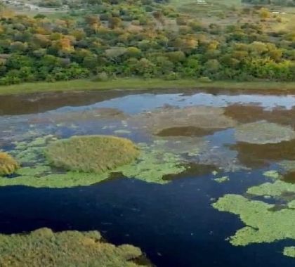 Semagro, Imasul e Instituto Homem Pantaneiro garantem ações para proteger o Pantanal