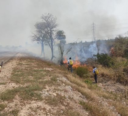 Homem é multado por incêndio em propriedade rural de Miranda